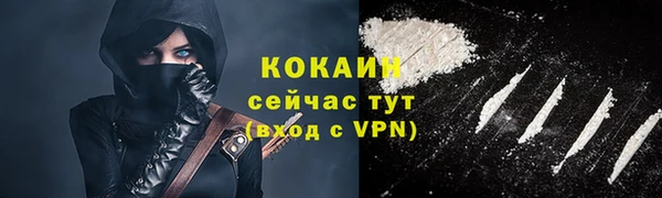 индика Богданович