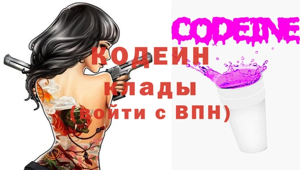 индика Богданович